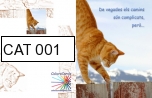 CAT 001